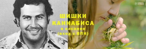 шишки Алексеевка