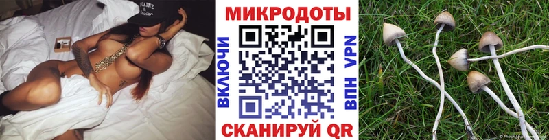 Псилоцибиновые грибы Psilocybe  гидра рабочий сайт  Беслан 